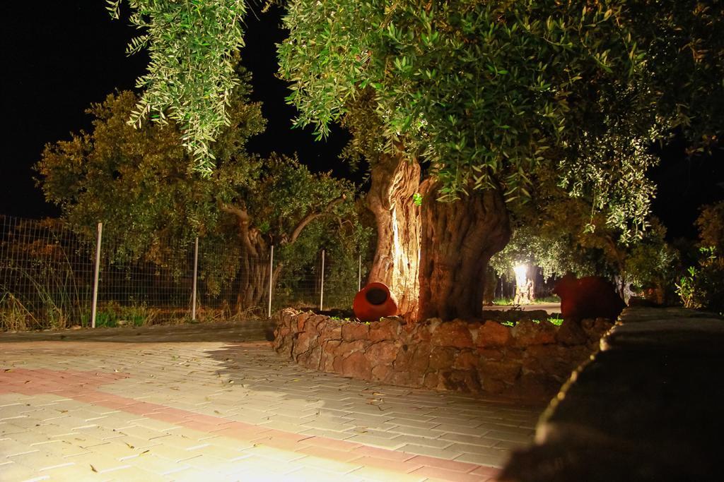 Studios Elianthos Skala Kallirakhis Exterior photo